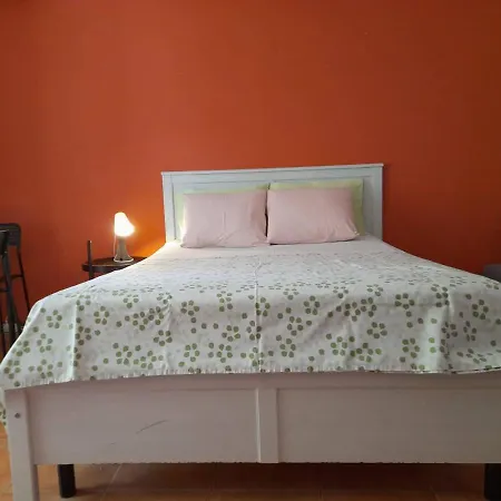The Rose's Studio
